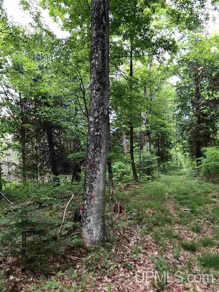 Tbd River Road, Unit PARCEL 2 Gulliver, MI 49854 - Photo 15 of 15 Gallery Image 15