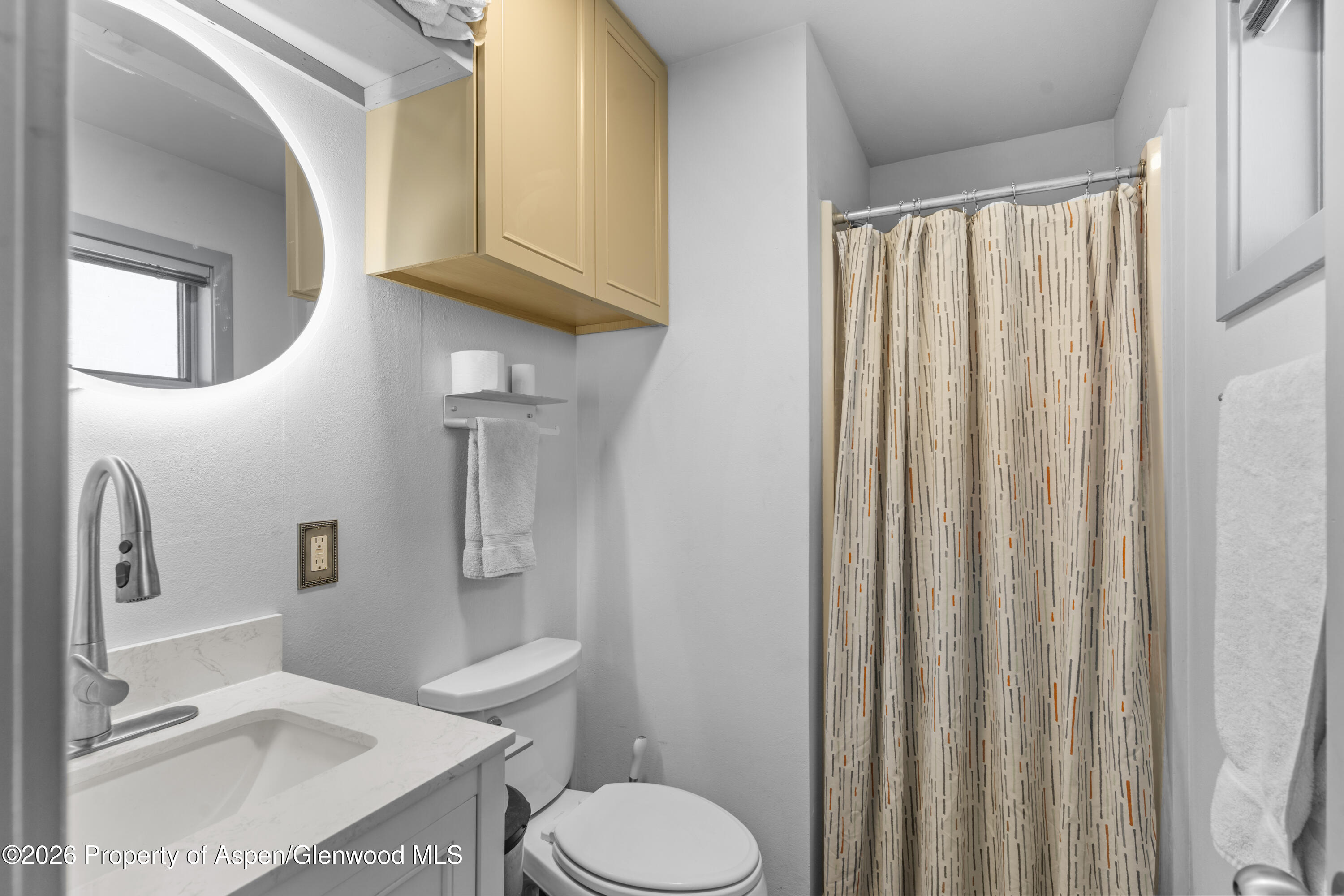 175 Midland Avenue, Unit 6 Basalt, CO 81621 - Photo 10 of 17 DSC05512