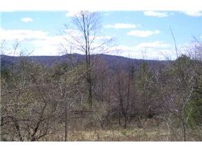 0 Th75 Rhoades Hill Road Bethel, VT 05031 - Photo 5 of 6