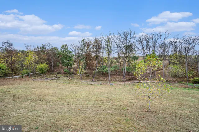 a view of a yard with a tree