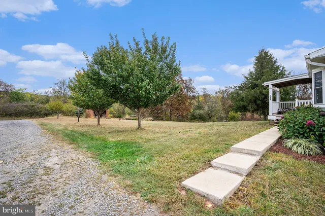 a view of a yard with plants and a trees