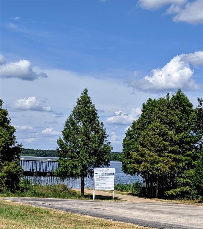 7710 Shore Crest Way Athens, TX 75752 - Photo 13 of 17 a view of a city