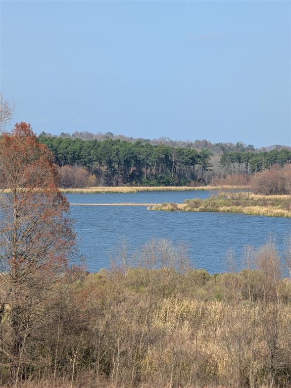7710 Shore Crest Way Athens, TX 75752 - Photo 3 of 17 a view of lake and mountain