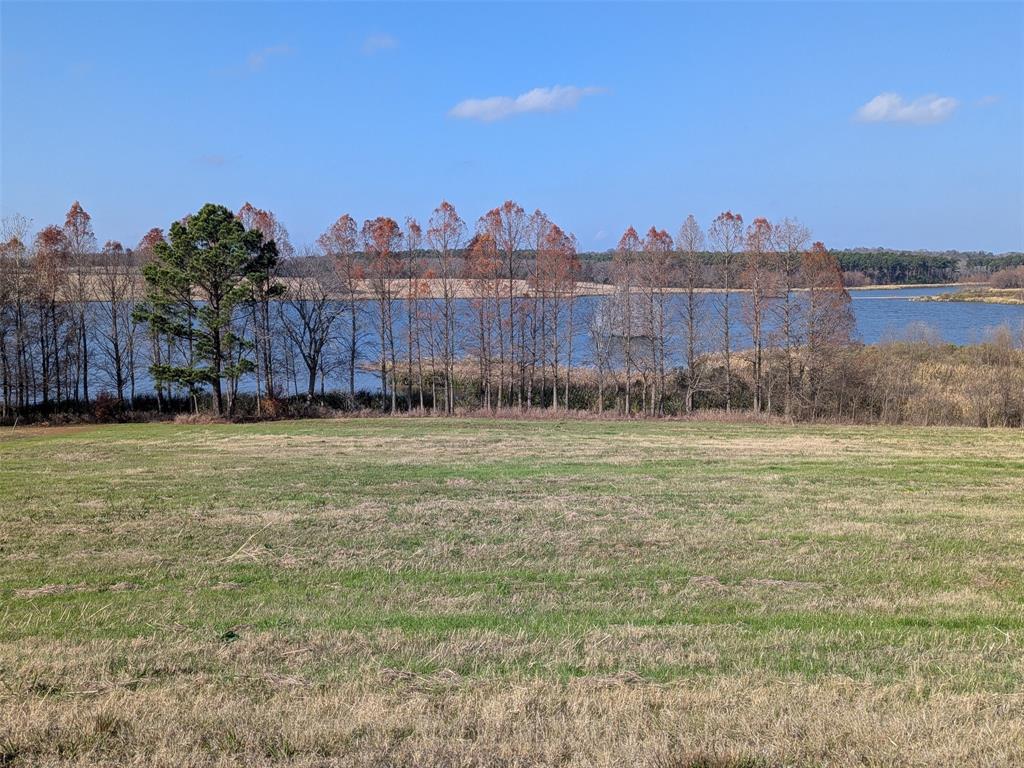 7710 Shore Crest Way Athens, TX 75752 - Photo 4 of 17 a view of a yard with a house