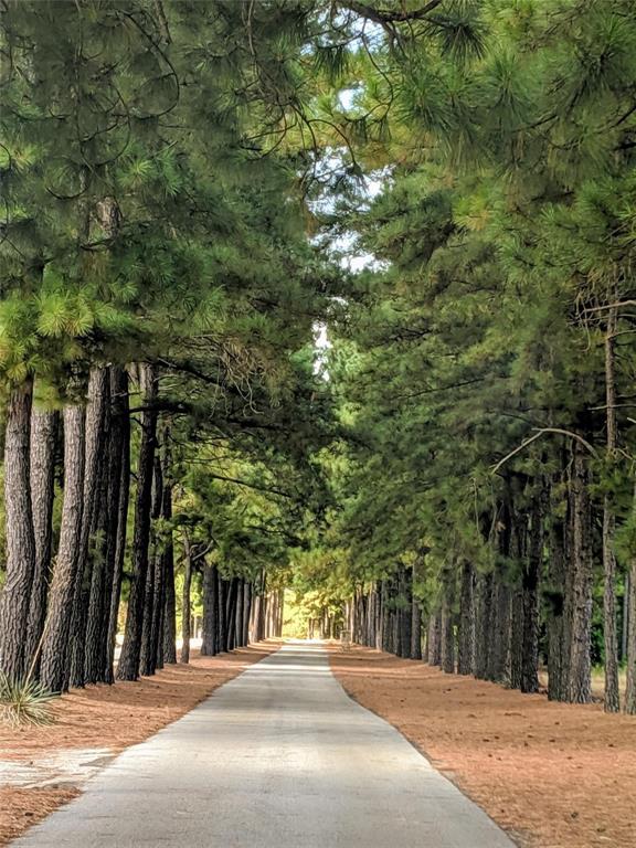7710 Shore Crest Way Athens, TX 75752 - Photo 7 of 17 a view of street along with trees