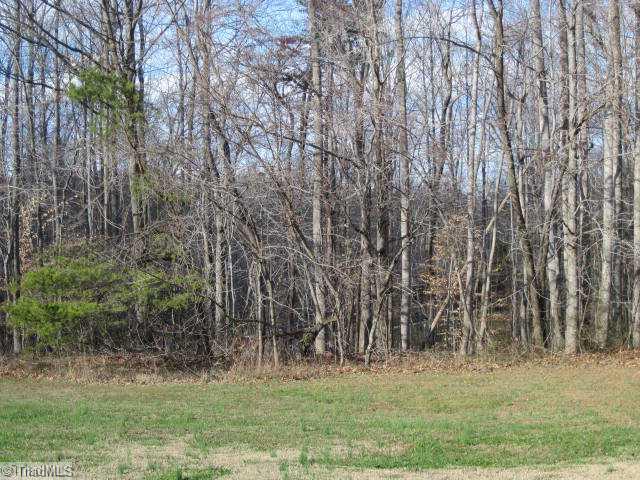 401 Setliff Road Reidsville, NC 27320 - Photo 8 of 9 Yard/Garden.