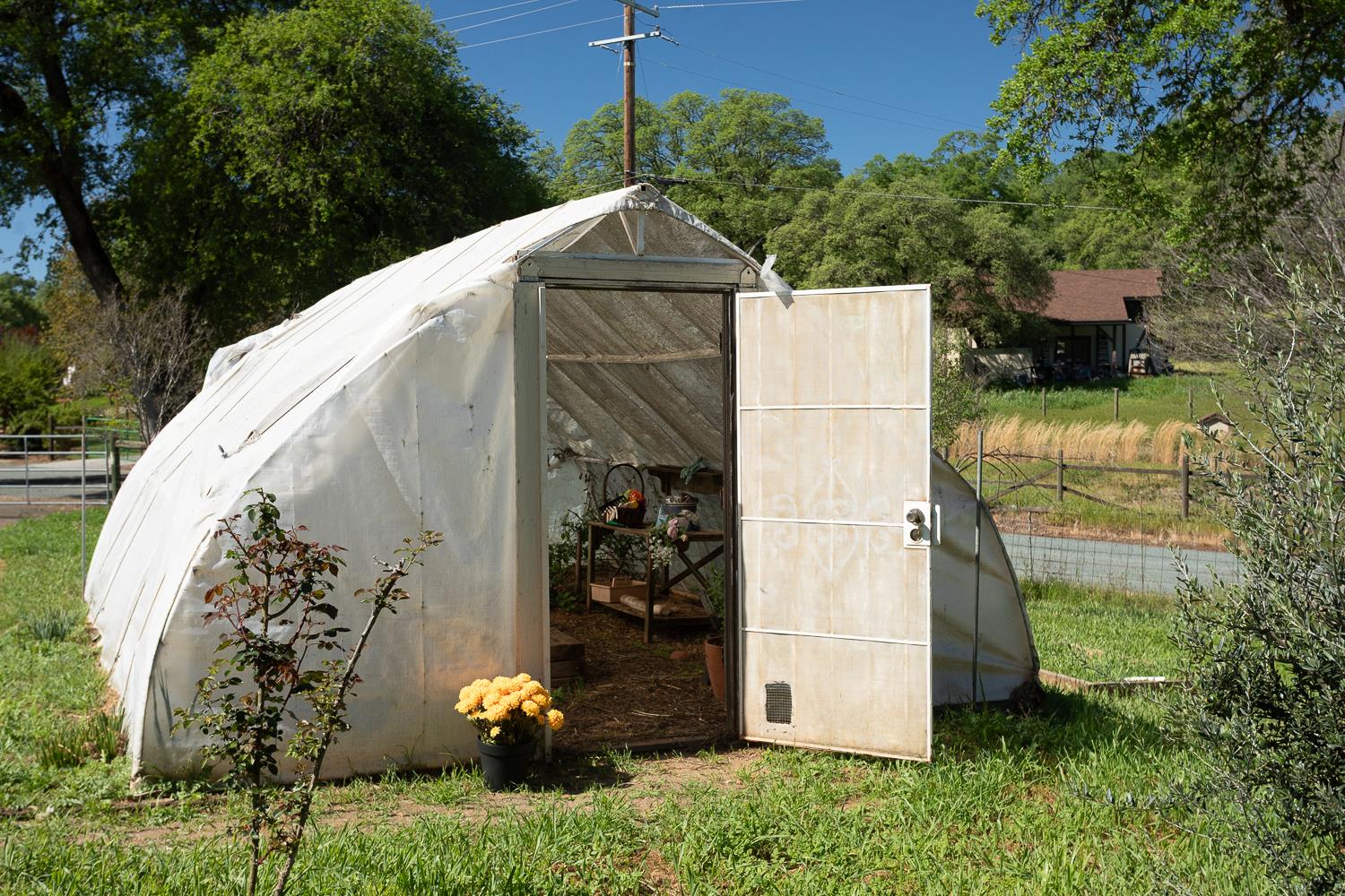 22801 Hidden Ranch Road Auburn, CA 95602 - Photo 70 of 94 Green House