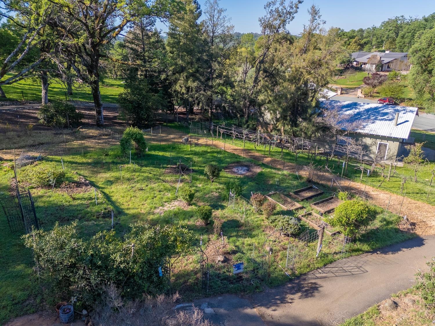 22801 Hidden Ranch Road Auburn, CA 95602 - Photo 73 of 94 a view of a garden with a lake