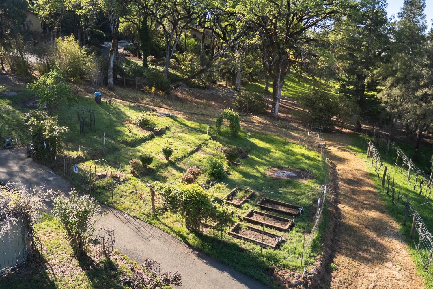 22801 Hidden Ranch Road Auburn, CA 95602 - Photo 74 of 94 Garden