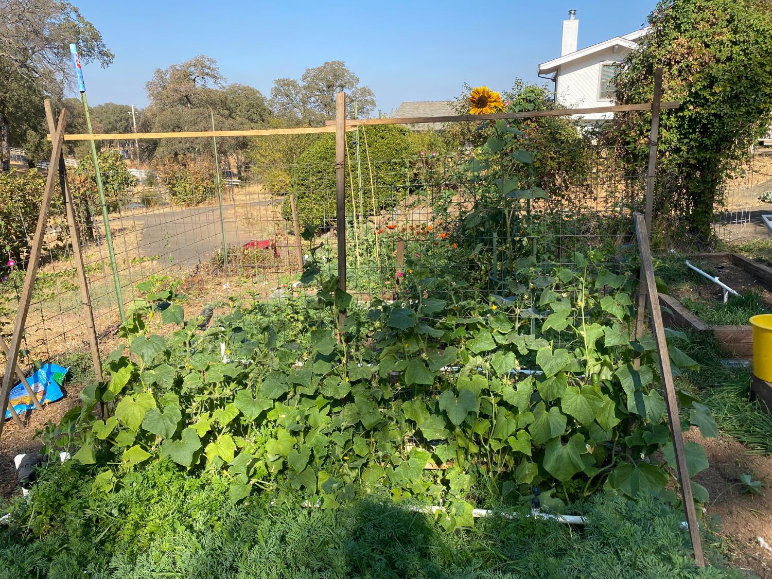 22801 Hidden Ranch Road Auburn, CA 95602 - Photo 76 of 94