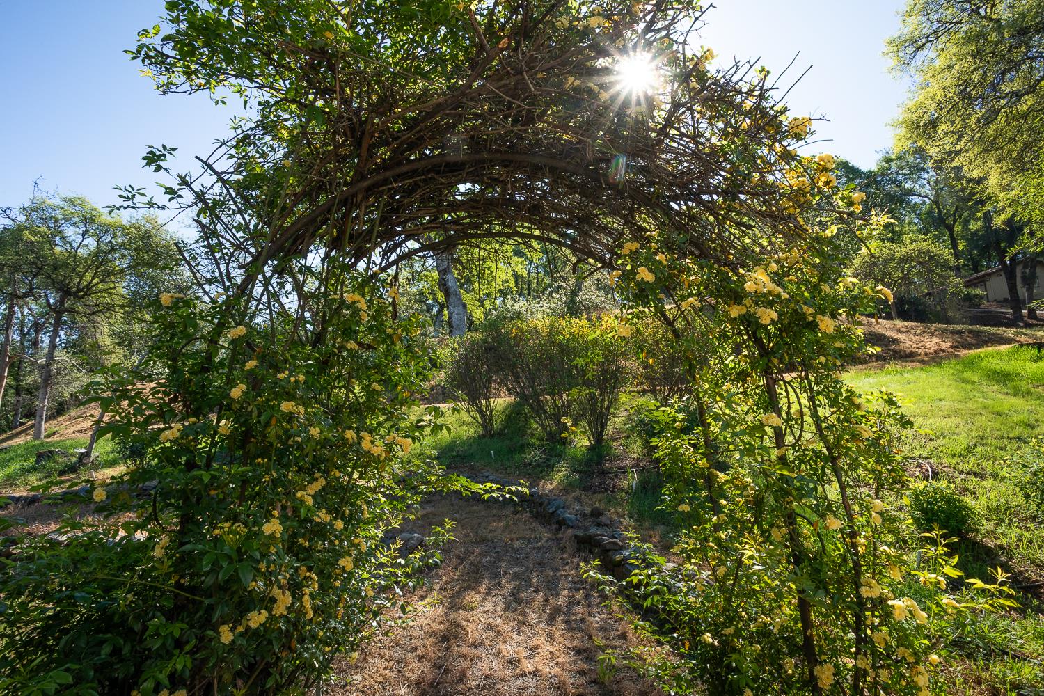 22801 Hidden Ranch Road Auburn, CA 95602 - Photo 81 of 94