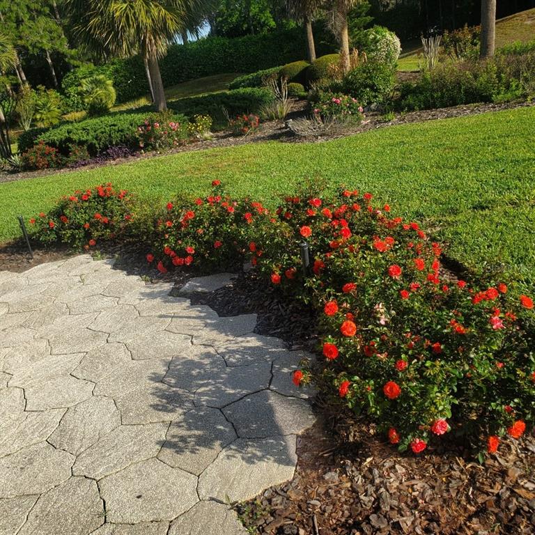 9391 Southwest 71st Loop Ocala, FL 34481 - Photo 63 of 91 Gallery Image 63