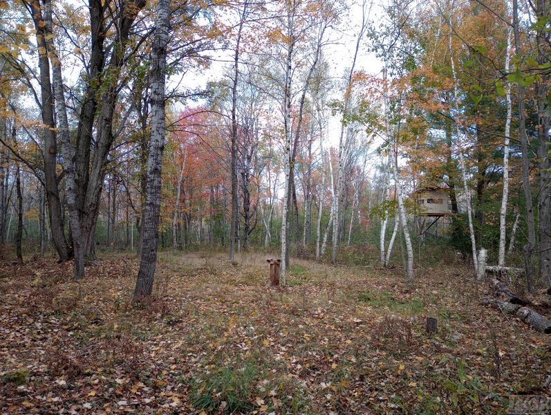 20-acres East Sun Oil Road Gladwin, MI 48624 - Photo 5 of 31 Gallery Image 5