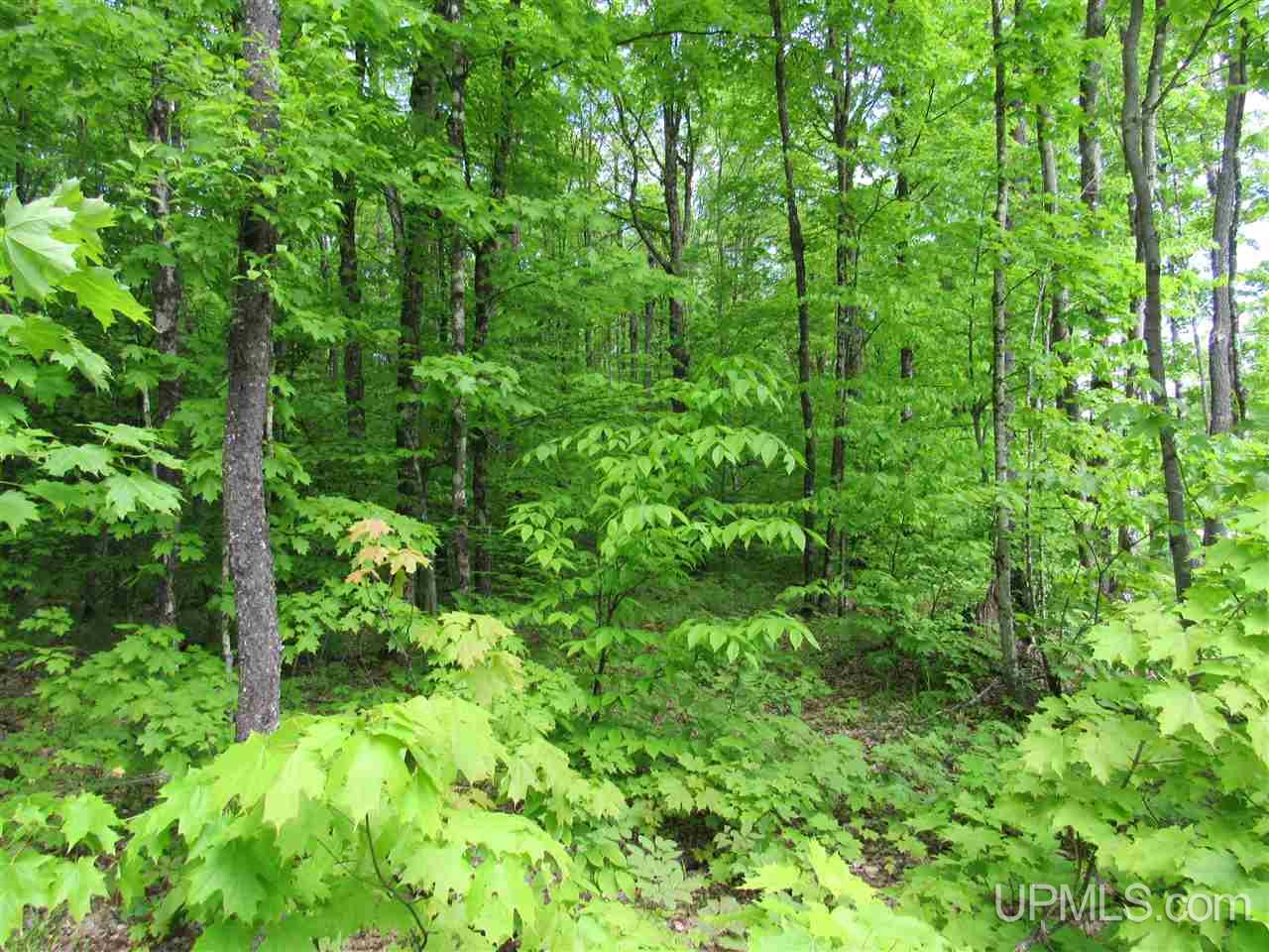 Tbd--x Crossover Road Munising, MI 49862 - Photo 5 of 23