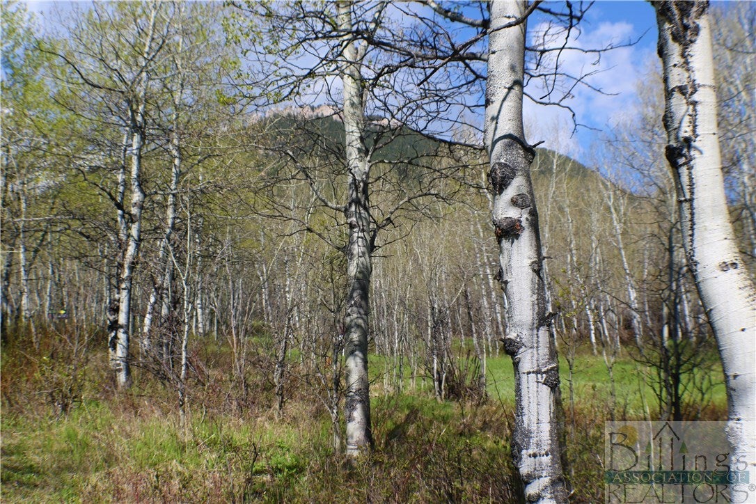 0 Kinikinik Trail Loop Red Lodge, MT 59068 - Photo 1 of 1 Gallery Image 1