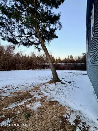 a view of a dry yard with wooden fence
