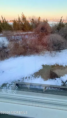 a view of a yard