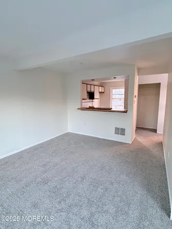a view of a big room with closet and windows