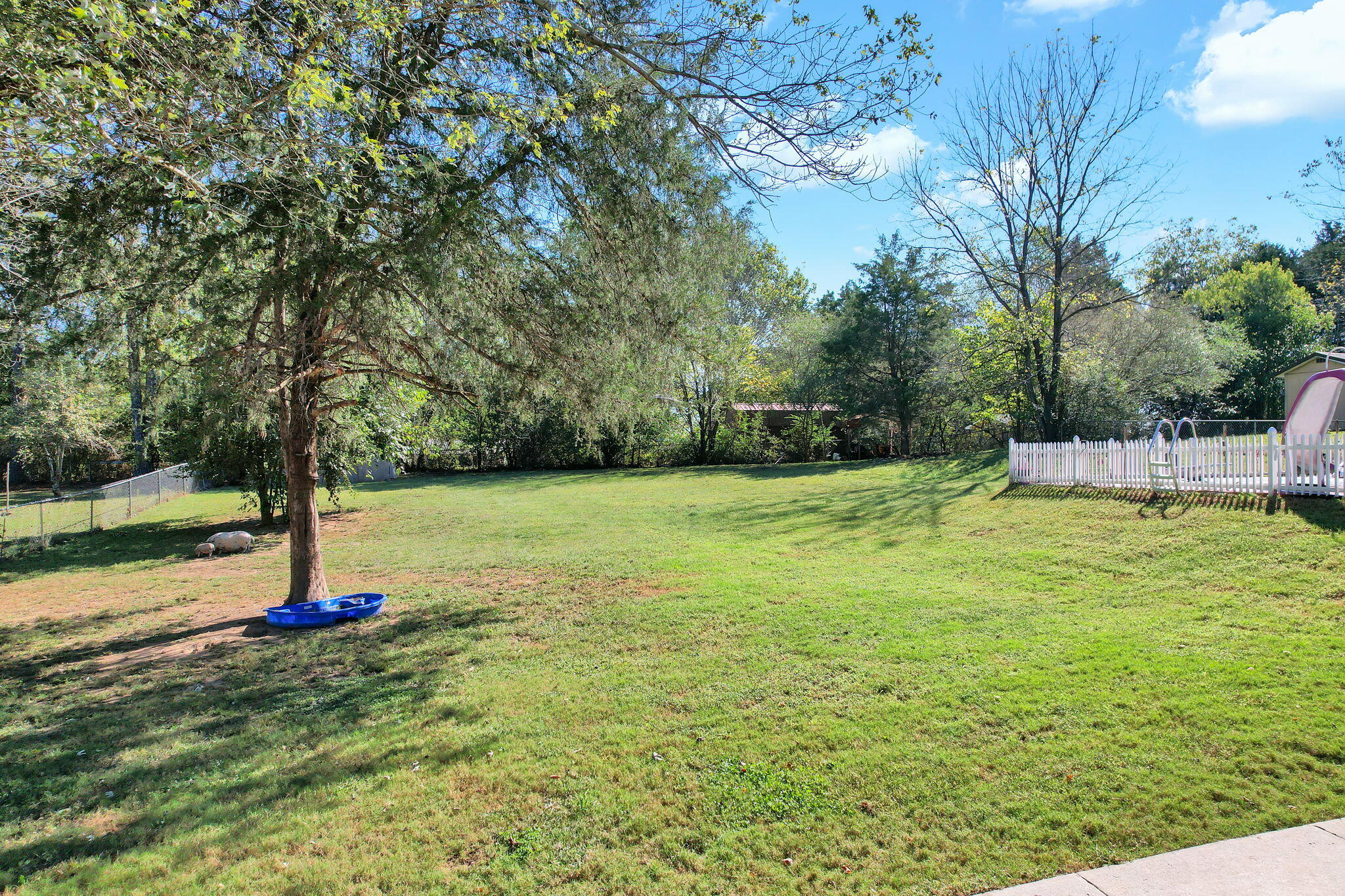 663 Diamond Circle LaFayette, GA 30728 - Photo 7 of 45 6-web-or-mls-DJI_0186