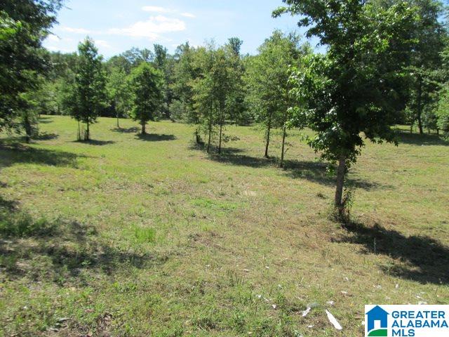 0 Choctaw Trail, Unit 10 Hayden, AL 35079 - Photo 1 of 24