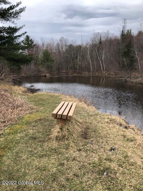 1620 Tracy Road Witherbee, NY 12998 - Photo 23 of 23 IMG_5259