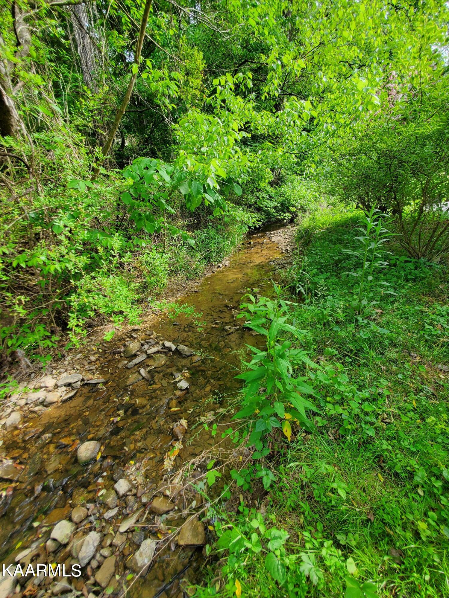 1441 Seagle Hollow Road Sevierville, TN 37876 - Photo 38 of 40 Creek
