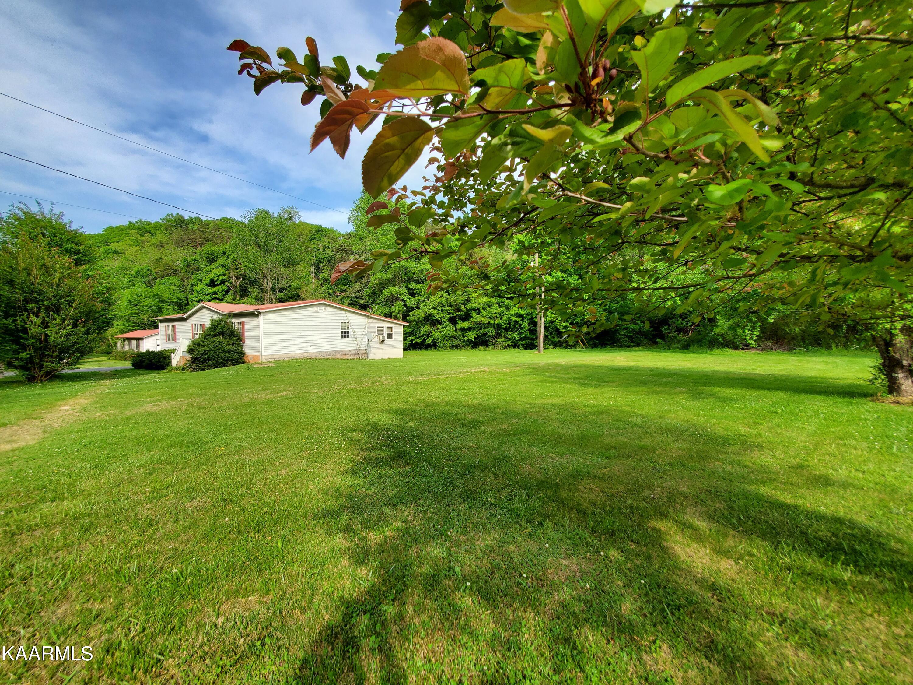 1441 Seagle Hollow Road Sevierville, TN 37876 - Photo 4 of 40 1.59 Acres
