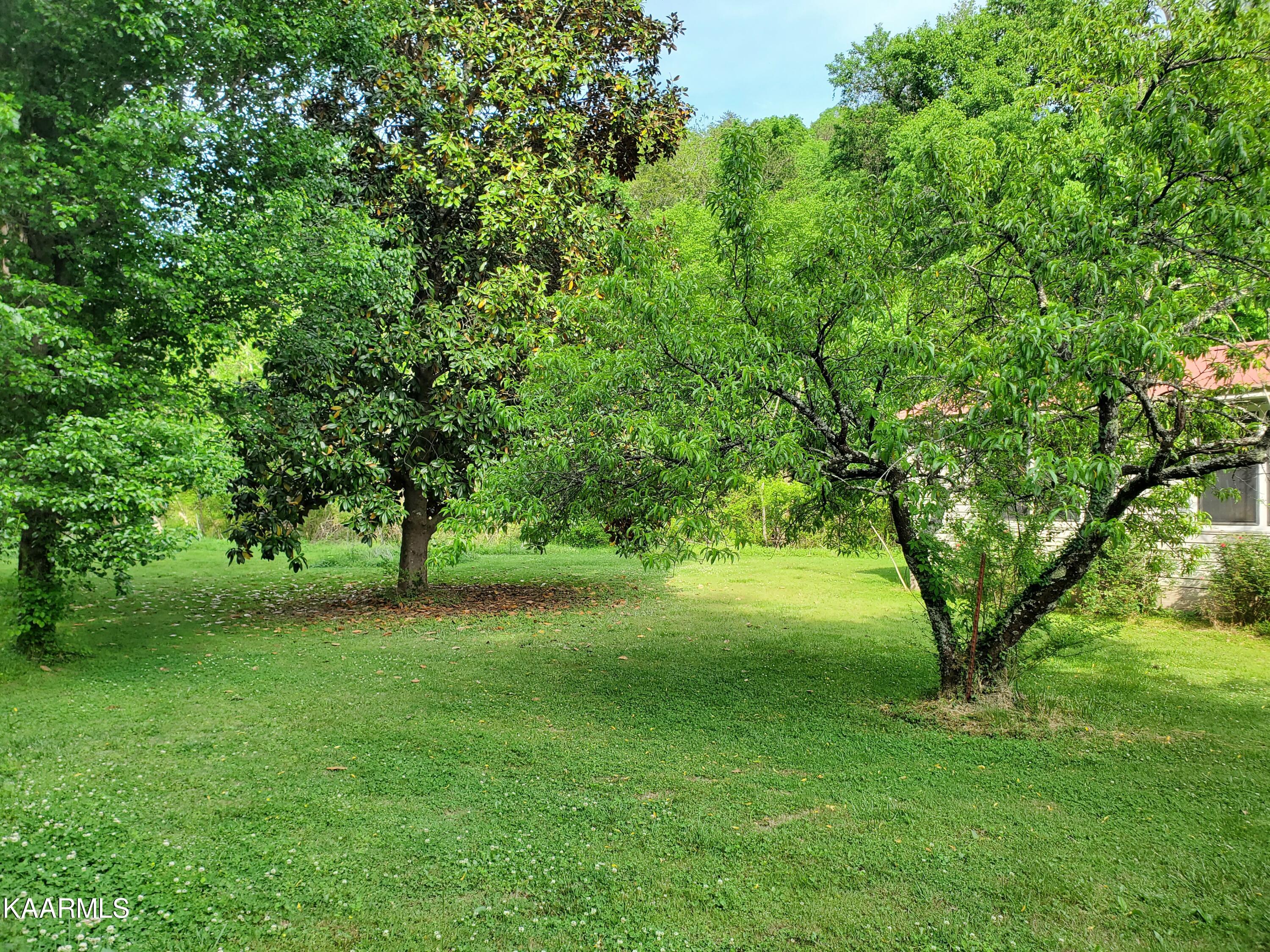 1441 Seagle Hollow Road Sevierville, TN 37876 - Photo 5 of 40 Large Yard