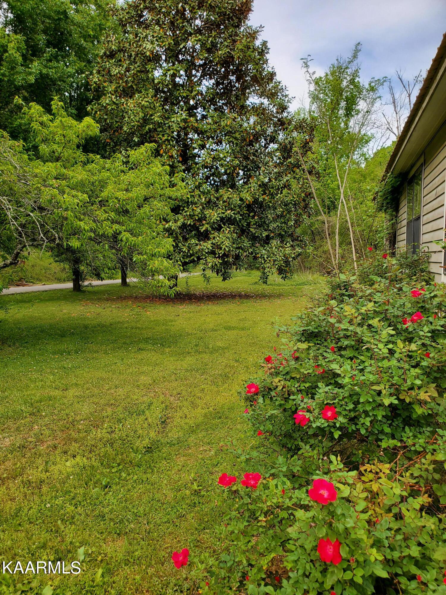 1441 Seagle Hollow Road Sevierville, TN 37876 - Photo 6 of 40 Large Yard