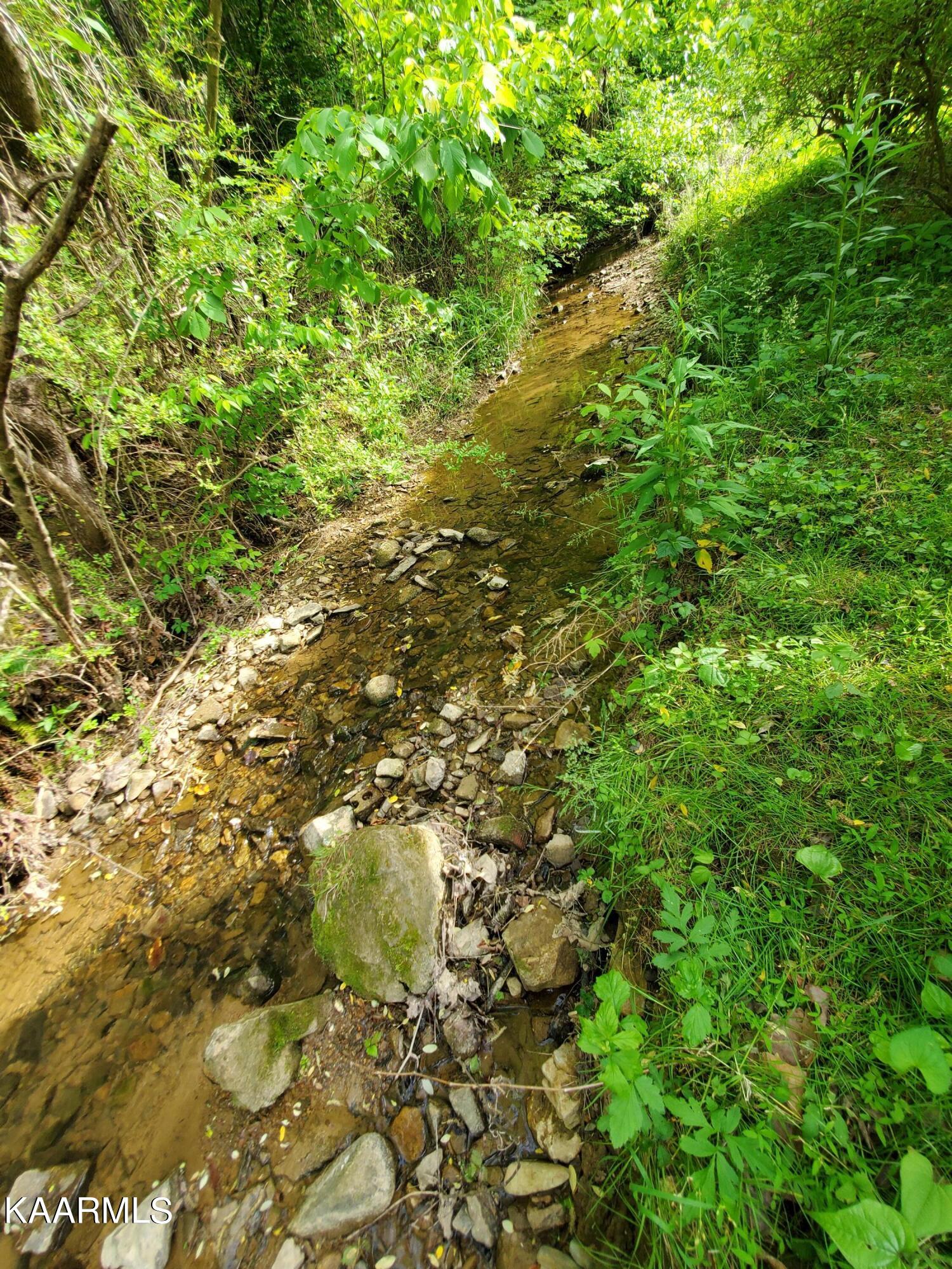 1441 Seagle Hollow Road Sevierville, TN 37876 - Photo 8 of 40 Creek