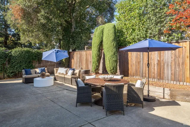 a close up of a tree