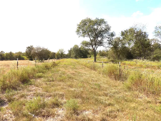 a view of yard with trees