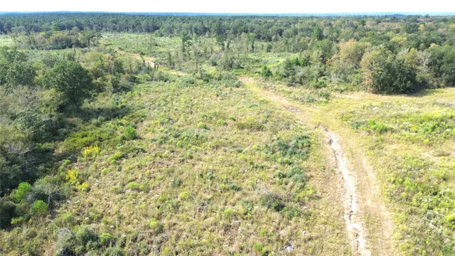 a view of a green field