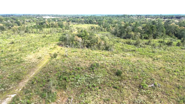 a view of a green field