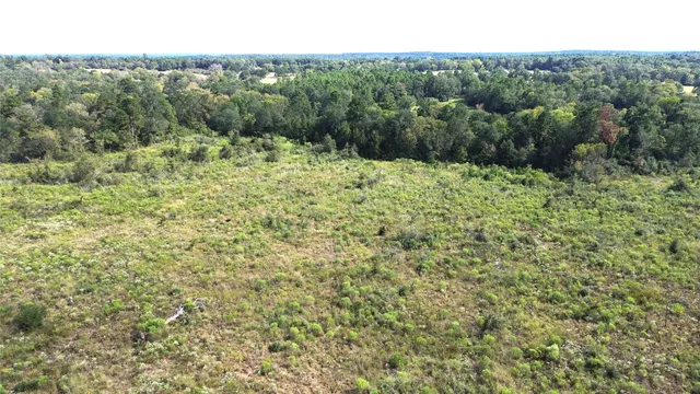 a view of a forest with a sink