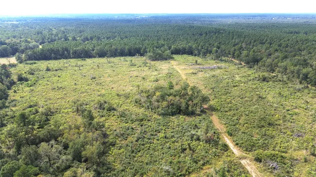 a view of a yard with a tree