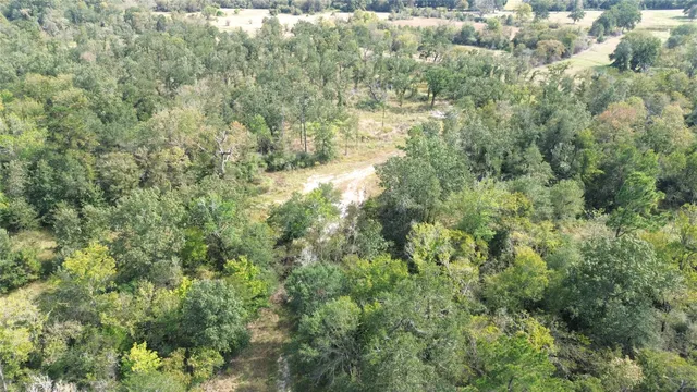 a view of a yard with an outdoor space