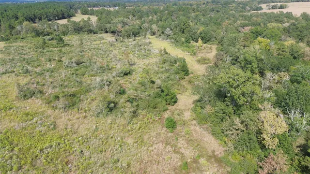a view of a dry yard with green space