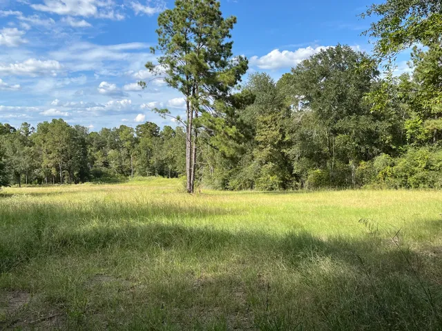 a view of outdoor space and yard