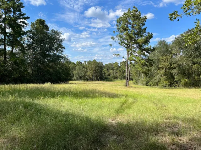 a view of yard with green space