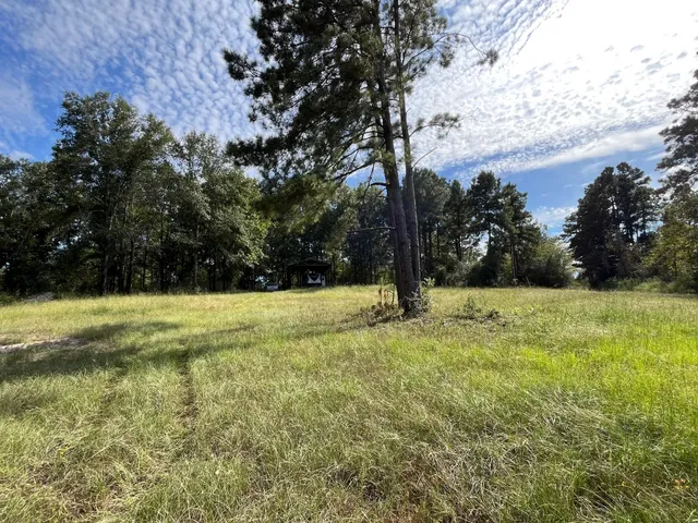 a view of yard with trees