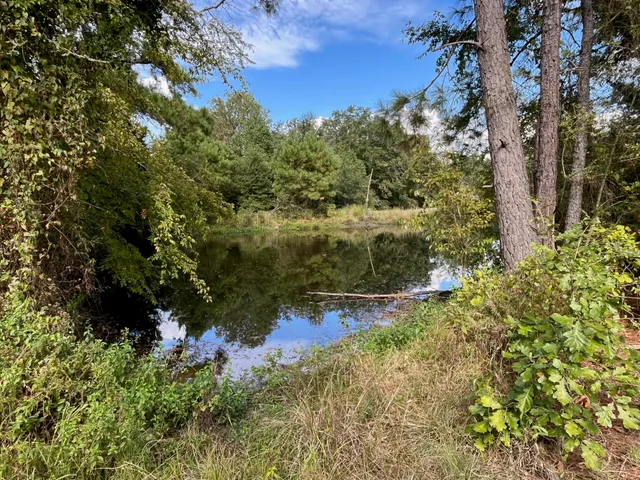 a view of a lake with a yard