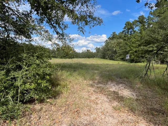a view of swimming pool with a yard