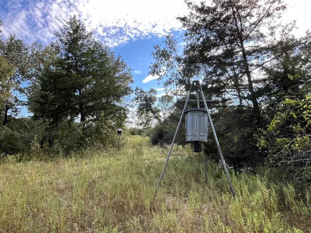 a view of a pathway in a yard