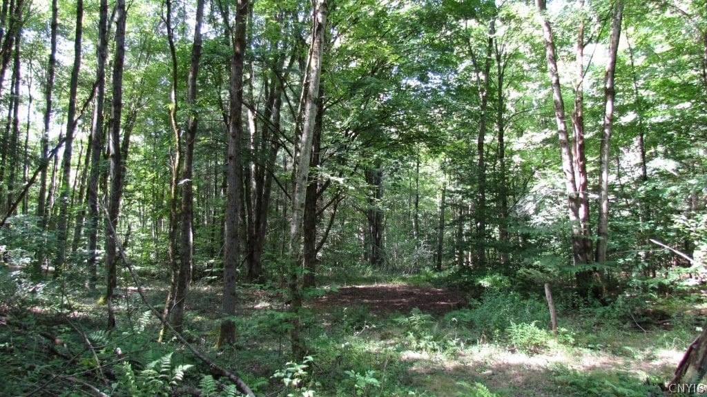150 Birmingham Road Camden, NY 13316 - Photo 17 of 25 Gallery Image 17