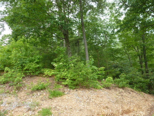 0 Kelly Ridge Road Townsend, TN 37882 - Photo 11 of 22 Gallery Image 11