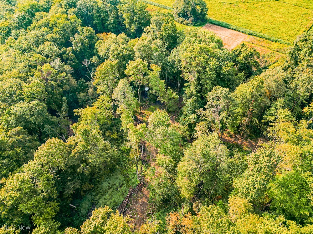 Reef Road Northeast Kensington, OH 44427 - Photo 25 of 27 Bird's eye view