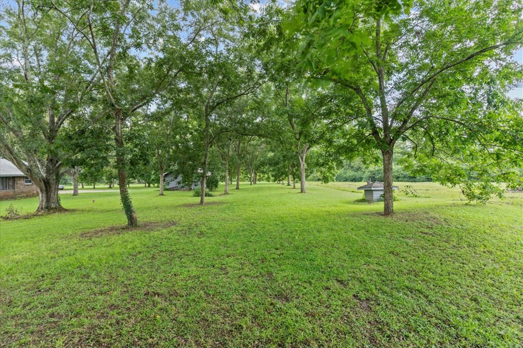 209 Oscar Godwin Road Dothan, AL 36301 - Photo 50 of 53