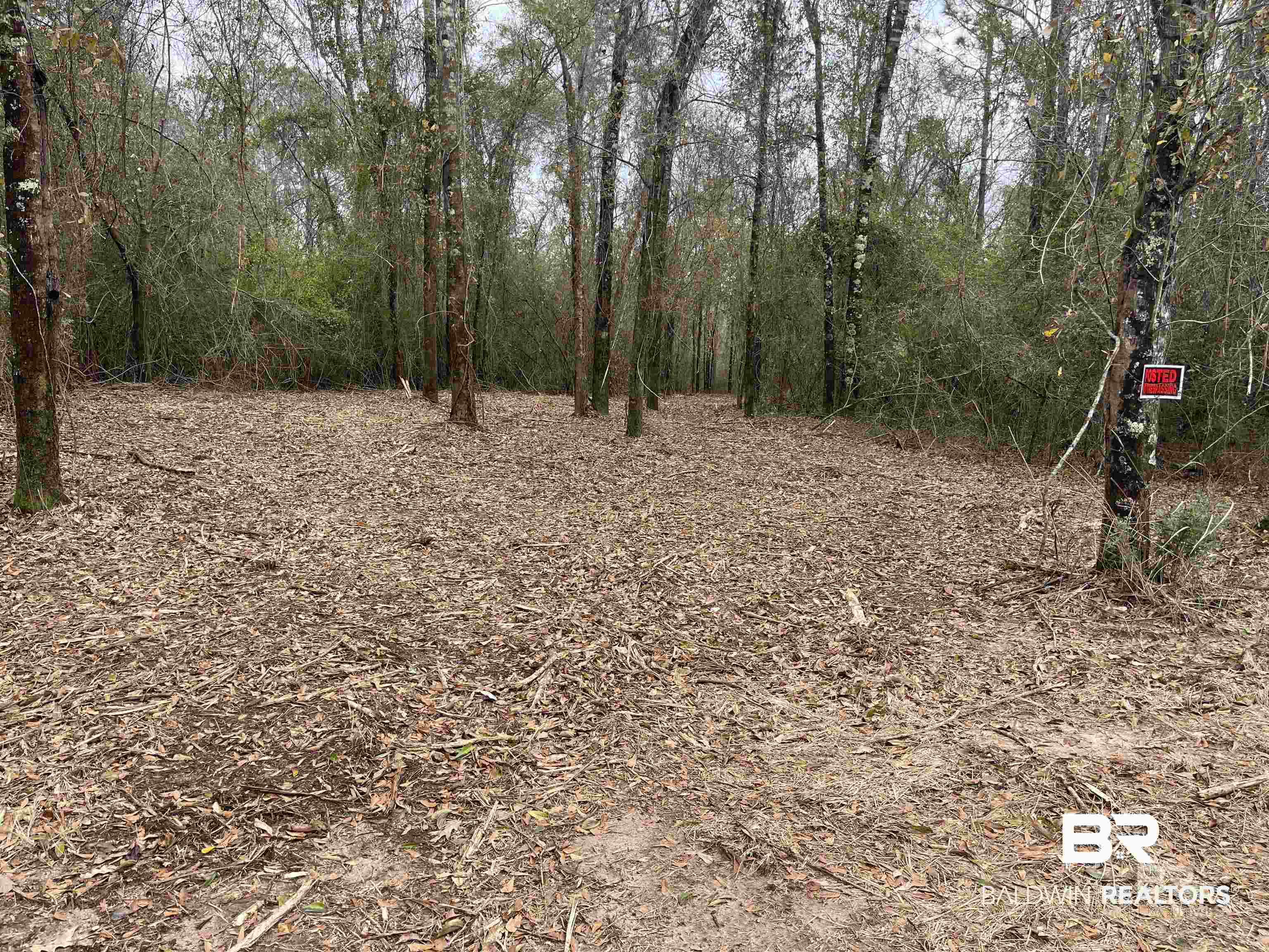 0 Dunbar Road Robertsdale, AL 36567 - Photo 19 of 36 View of wooded area