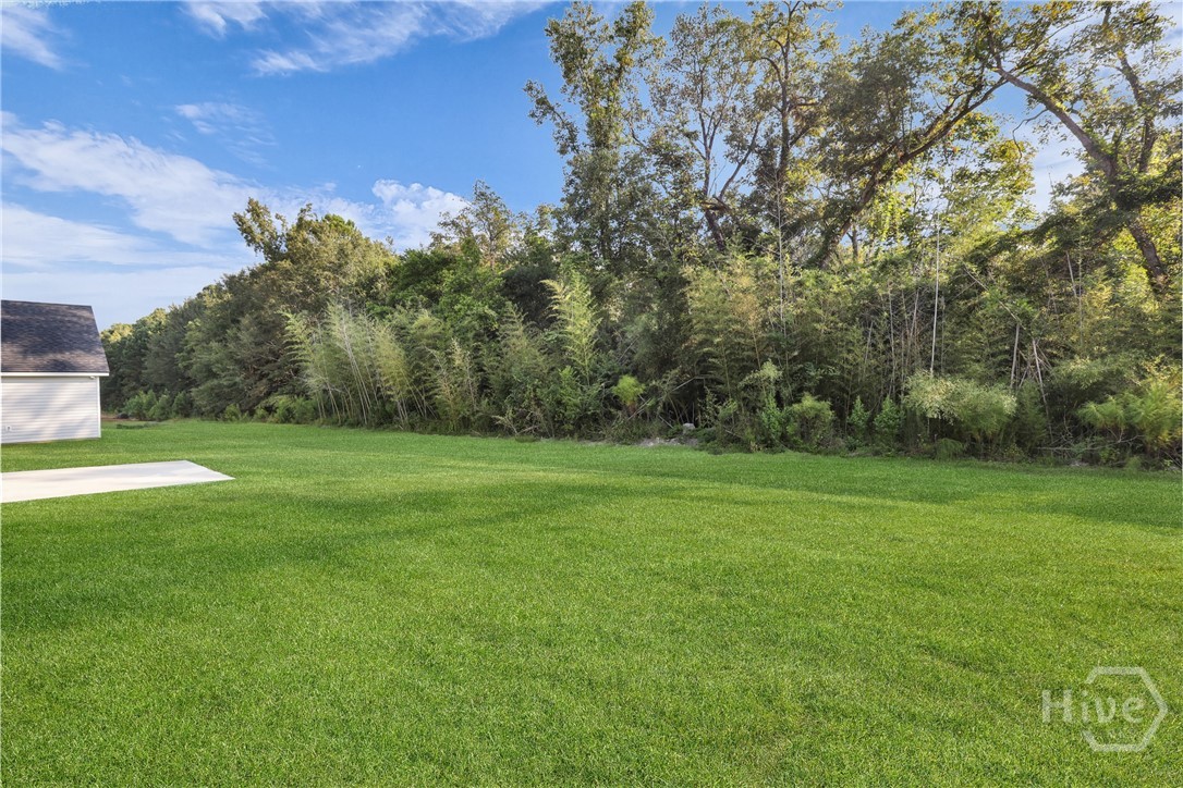 12 Grove Hollow Road Rincon, GA 31326 - Photo 30 of 33 The Waverly II Plan by Lawrence Alexander Homes!